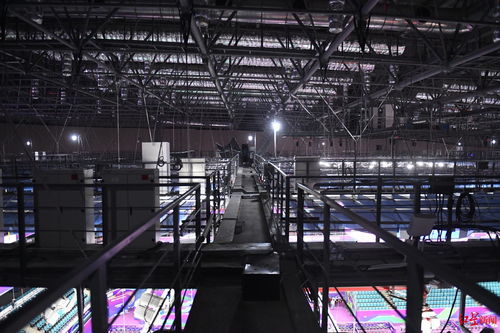 蓉耀湯尤杯 遠程拍攝機器人開啟奧運級賽事記錄新篇章